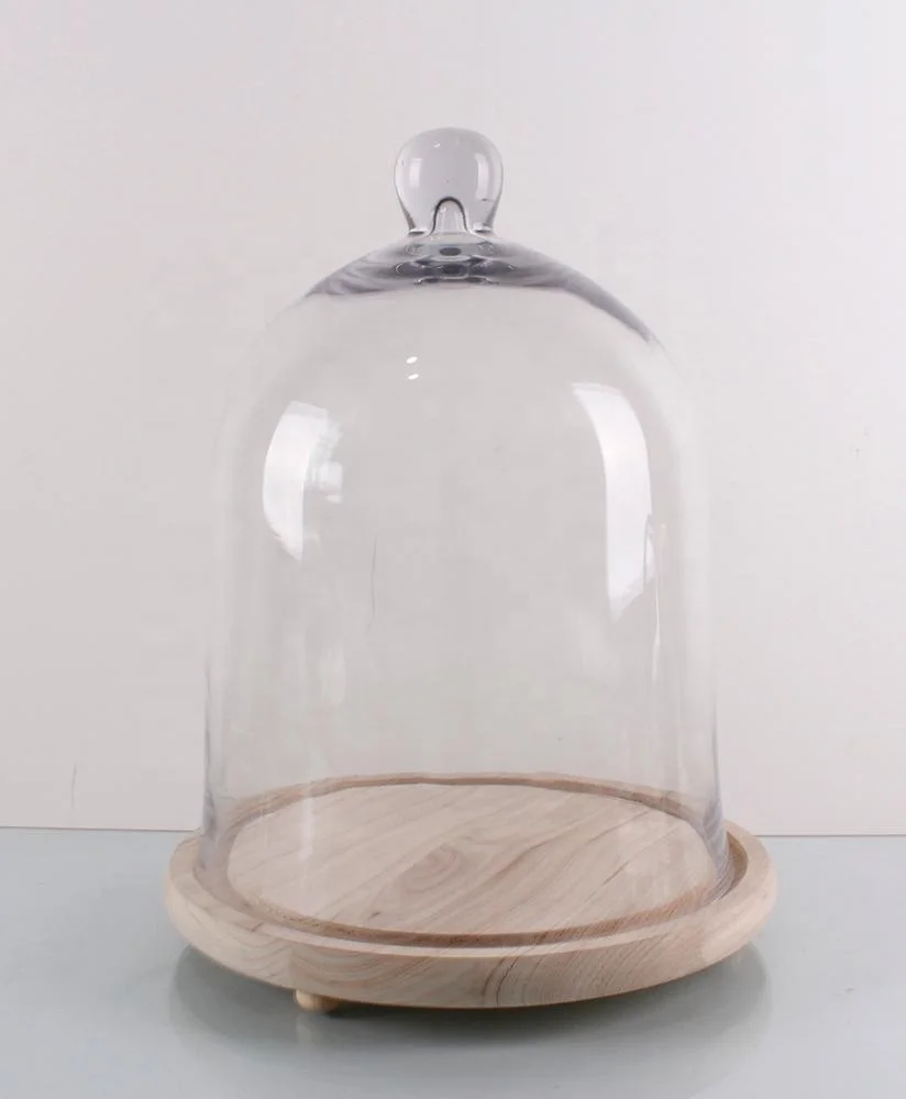 Glass Cloche Bell Jar Plant Terrarium Cloche Opening Bell Jar Glass Display Dome Cloche