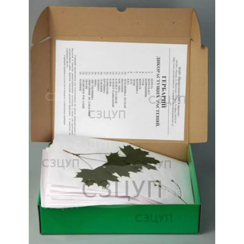 Биологические учебные пособия гербарий дикие растения