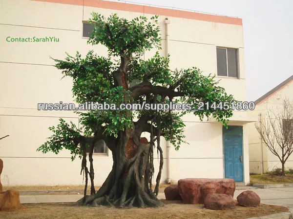 искусственный большой баньян