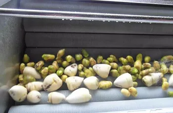 Free sample industrial carrot peeler equipment supplier