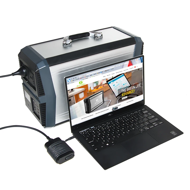 1000W Pure Sine Wave Portable 220V Battery Power Station AC and DC Outputs