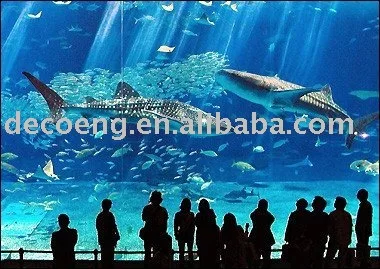 
Aquarium project 