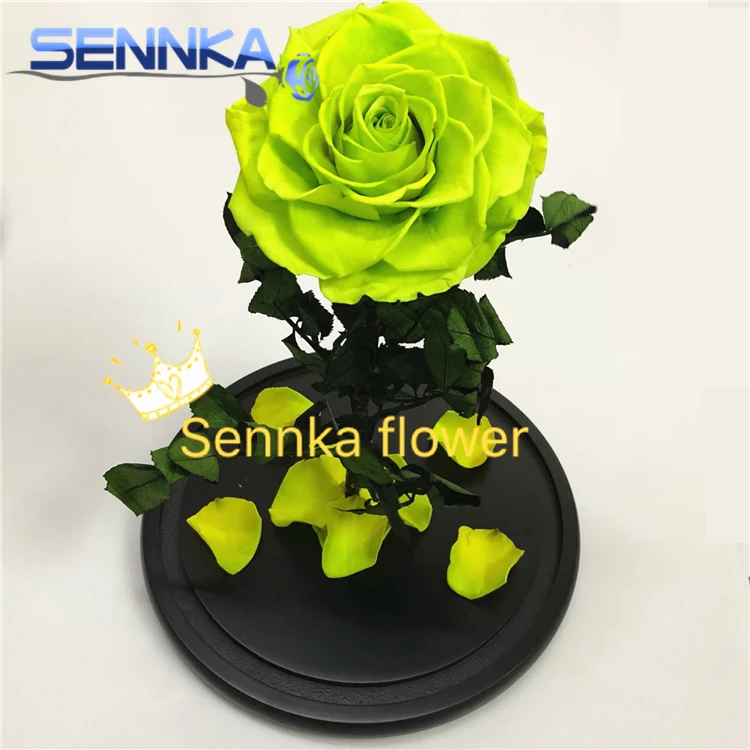 День матери украшение дома Красивые цветы розы сохранены