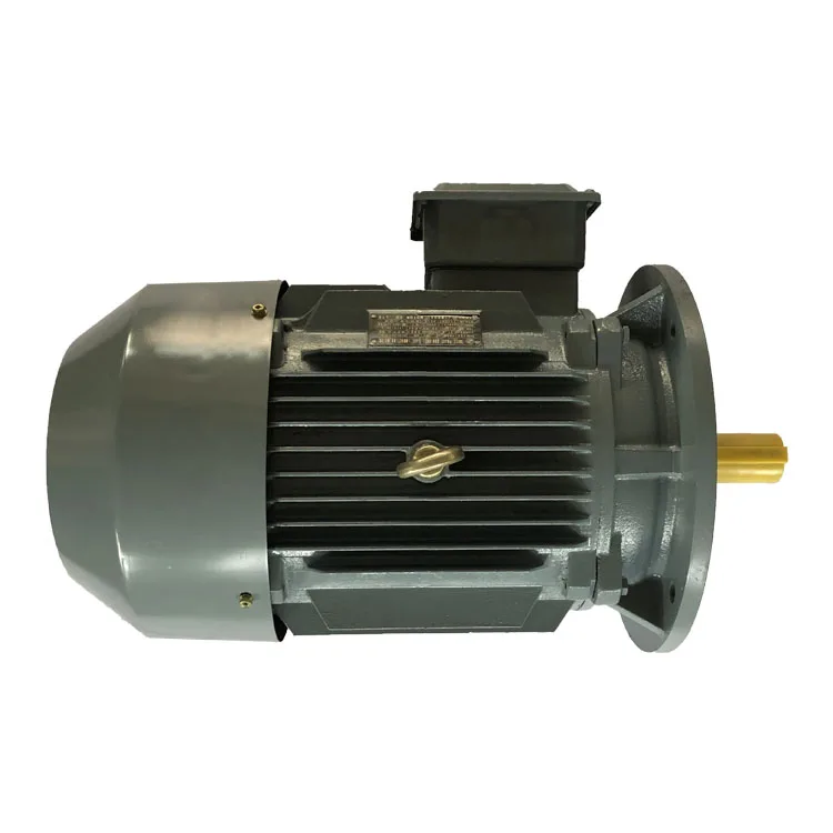Y2-90S/90L/90L2/100L1/100L2/100L3/112M/112M2-4 series 1.1/1.5 KW 50Hz electric motor