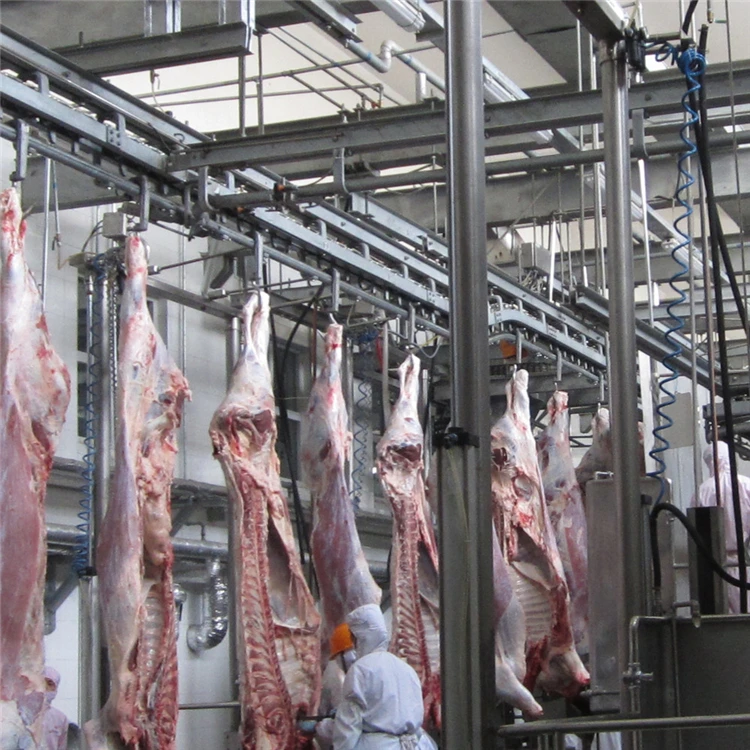 Halal Meat Slaughter Process Camel With Quality Abattoir Machine