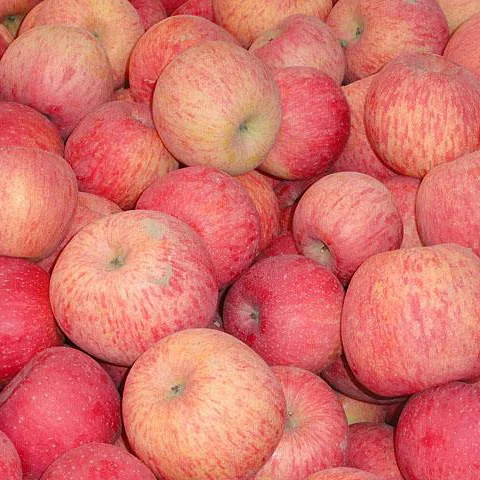 all kinds of fruit apple