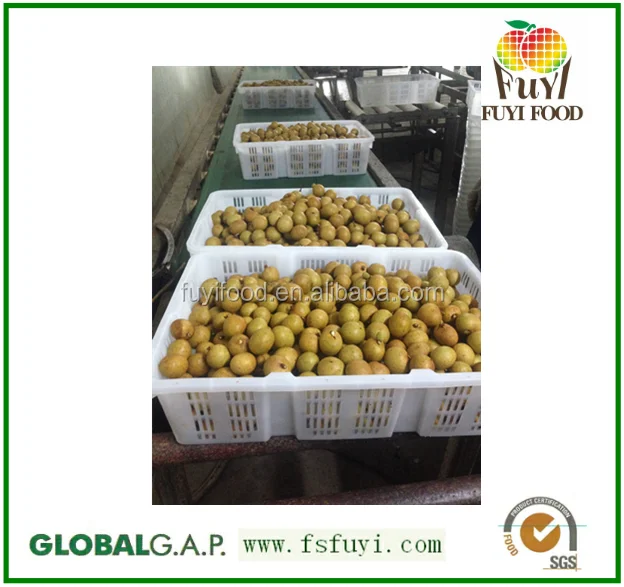 100% natural and sweet fresh longan in bulk /plastic package