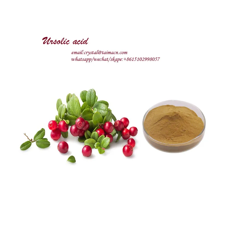 поставку в Китай Топ питания завода Натуральные Косметические сырья толокнянки урсоловая кислота, экстракт листьев, cas: 77-52-1