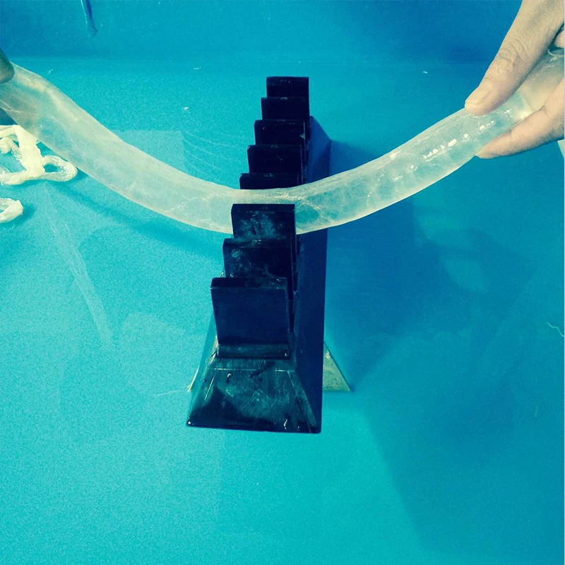 Высокое качество натурального корпус пищевой натуральный захвата корпус соленые корпус