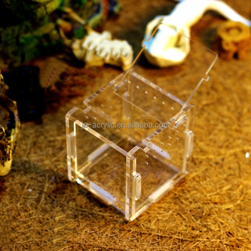 
Acrylic Small Pet Cage Mini Animal Pet Insects Reptiles Terrarium Reptiles Box 