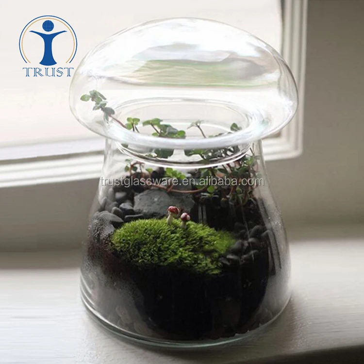 Wholesale Manufacturer Eco-Friendly Food Container Plant Decoration Mushroom Shaped Glass Storage Jar With Lid