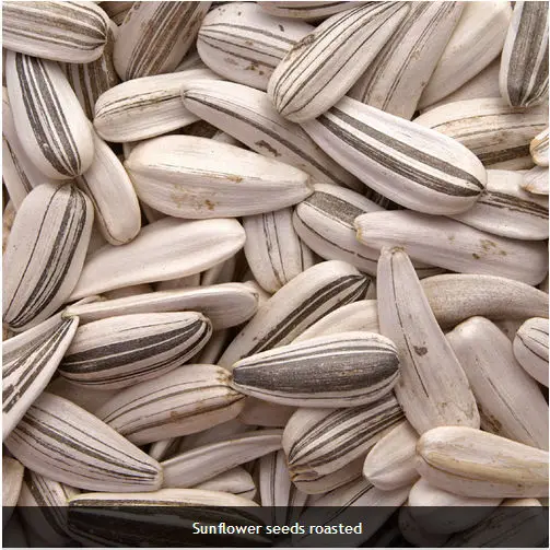 Sunflower Seeds
