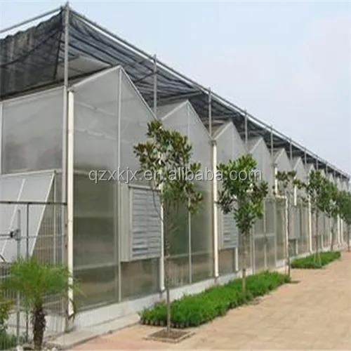 Multi-span Greenhouses transparent polycarbonate agricultural greenhouse