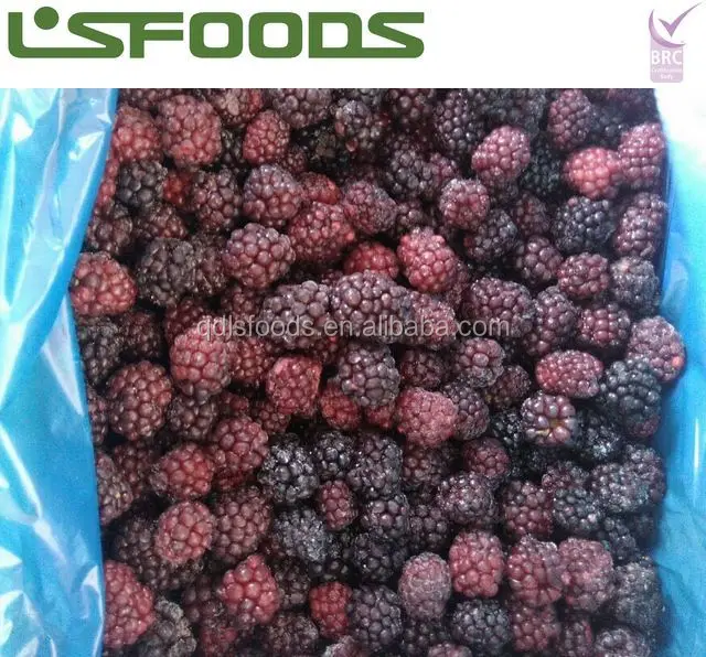 
China Wholesale Frozen Blueberry Bulk frozen blackberries 