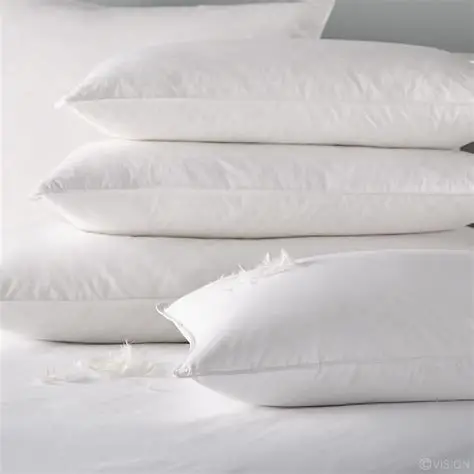 Deeda factory cheap cost down feather hotel pillow 5 star wholesale