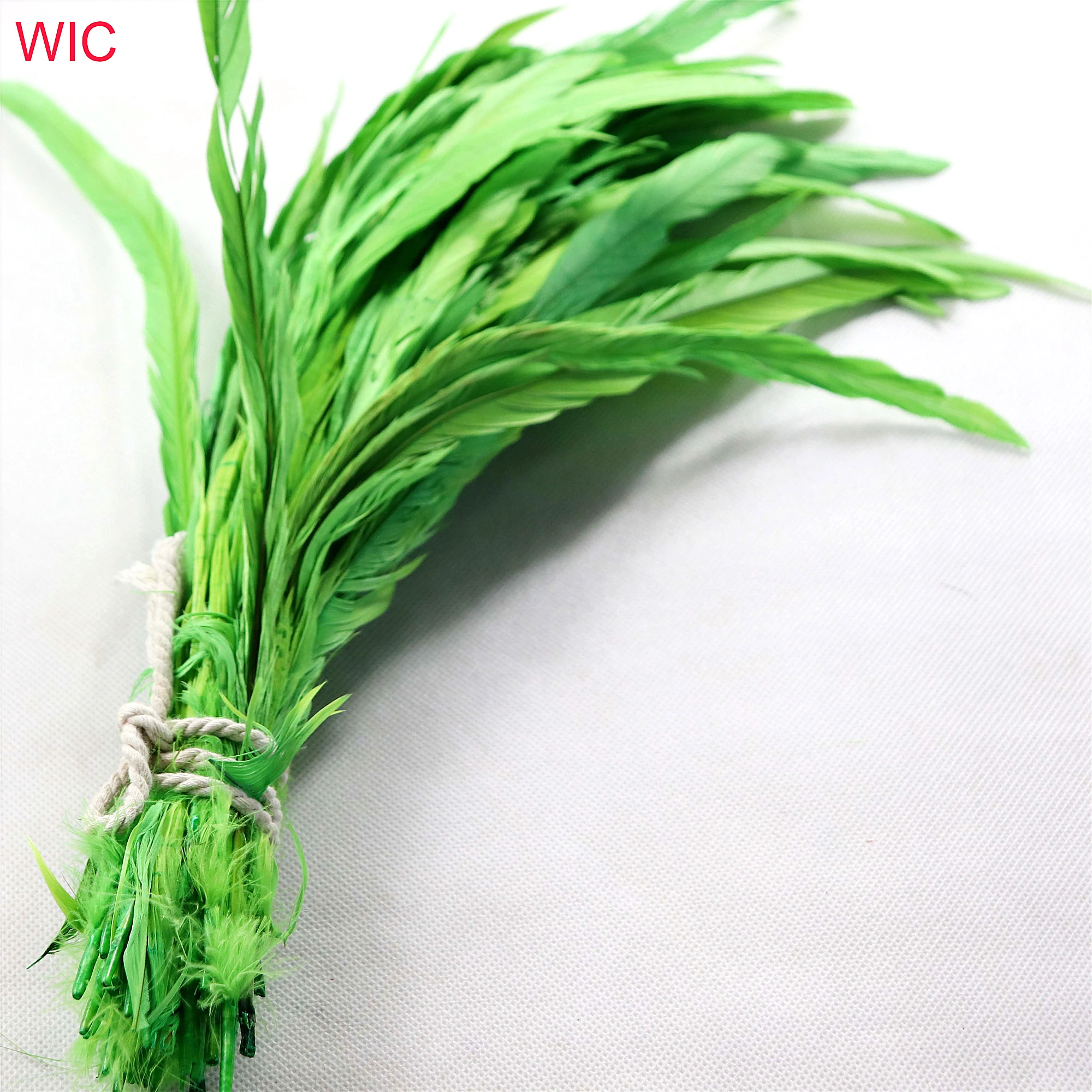 Cheap Wholesale Dyed Fashion Rooster Tail Feather Color Long Cock Chicken Feather for Carnival Costumes