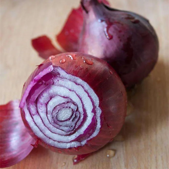 
S539 Yang Cong 100% Pure Nature Chinese Vegetable Red Onion Seeds For Planting 