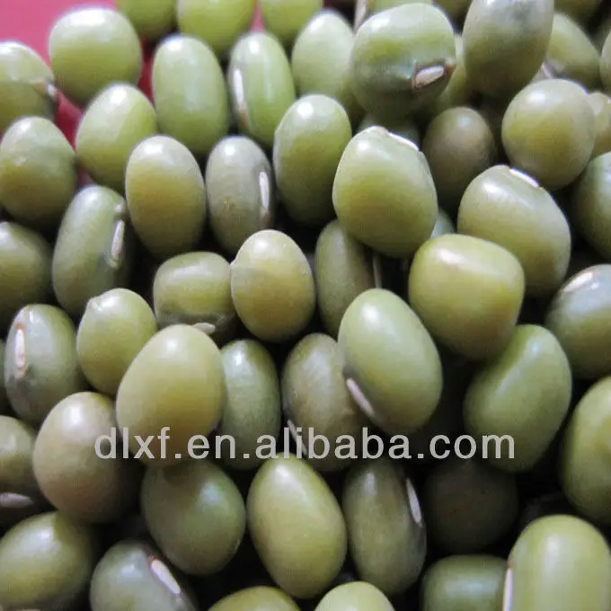 green mung beans hps for food