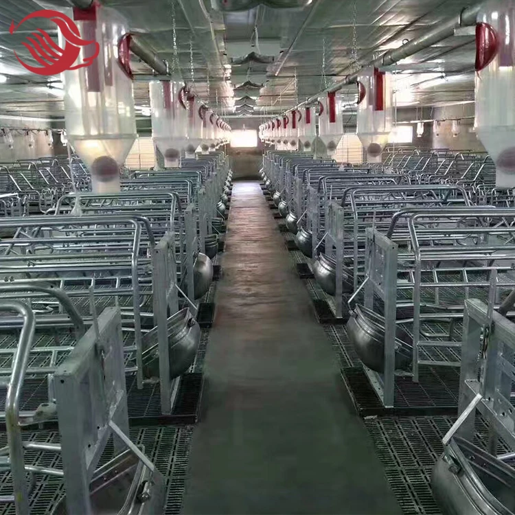 Hot dip galvanized customized size Sow farrowing cage for swine farm