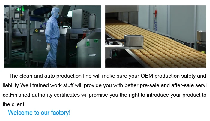 
butter animal cookies malaysian cheap digestive halal biscuits and cookies 