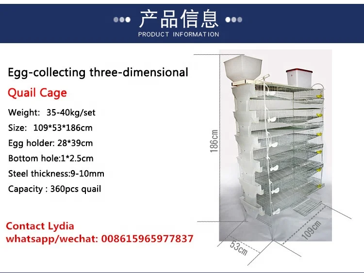 high quality quail cage for sale,quail laying cage, cages for quail ( lydia whatsapp: +8615965977837)