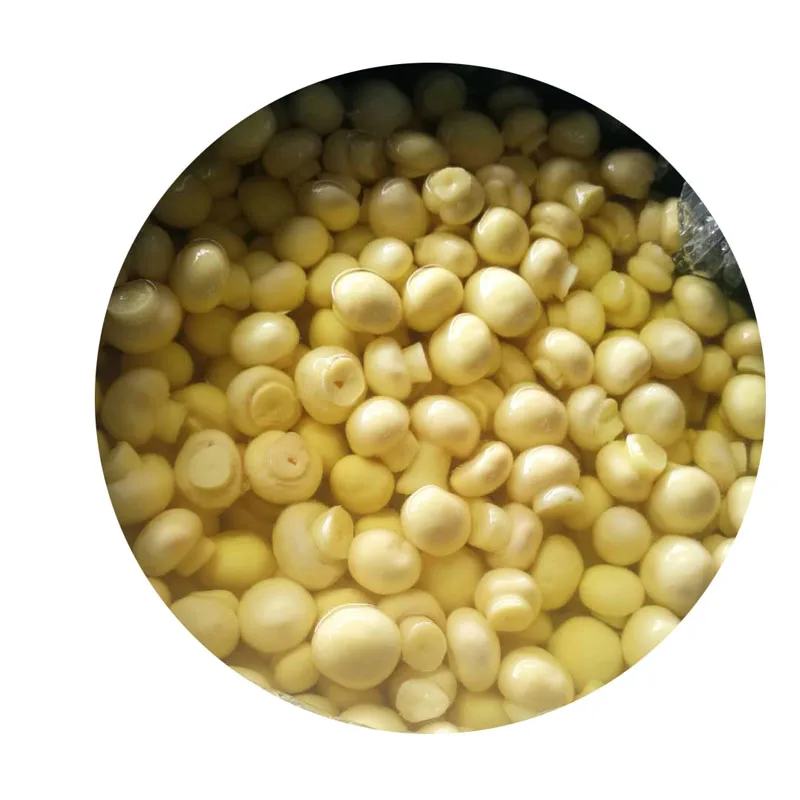 Гриб SO2 в барабане