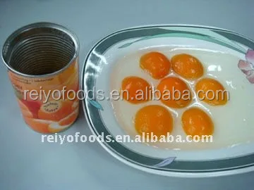 
canned halves apricot in light syrup 