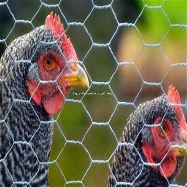 1 inch Galvanized Hexagonal wire netting Chicken mesh Poultry wire mesh