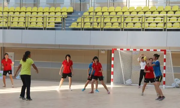 
Wholesale PE/PA Handball Net With High quality 