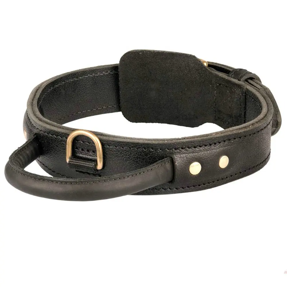 Wholesale cheap adjustable leather dog collar with convenient handle