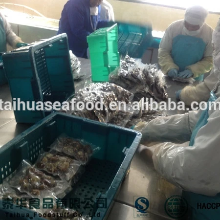 Замороженные моллюски из пенанга морепродукты цельный китайский импортер-экспорт