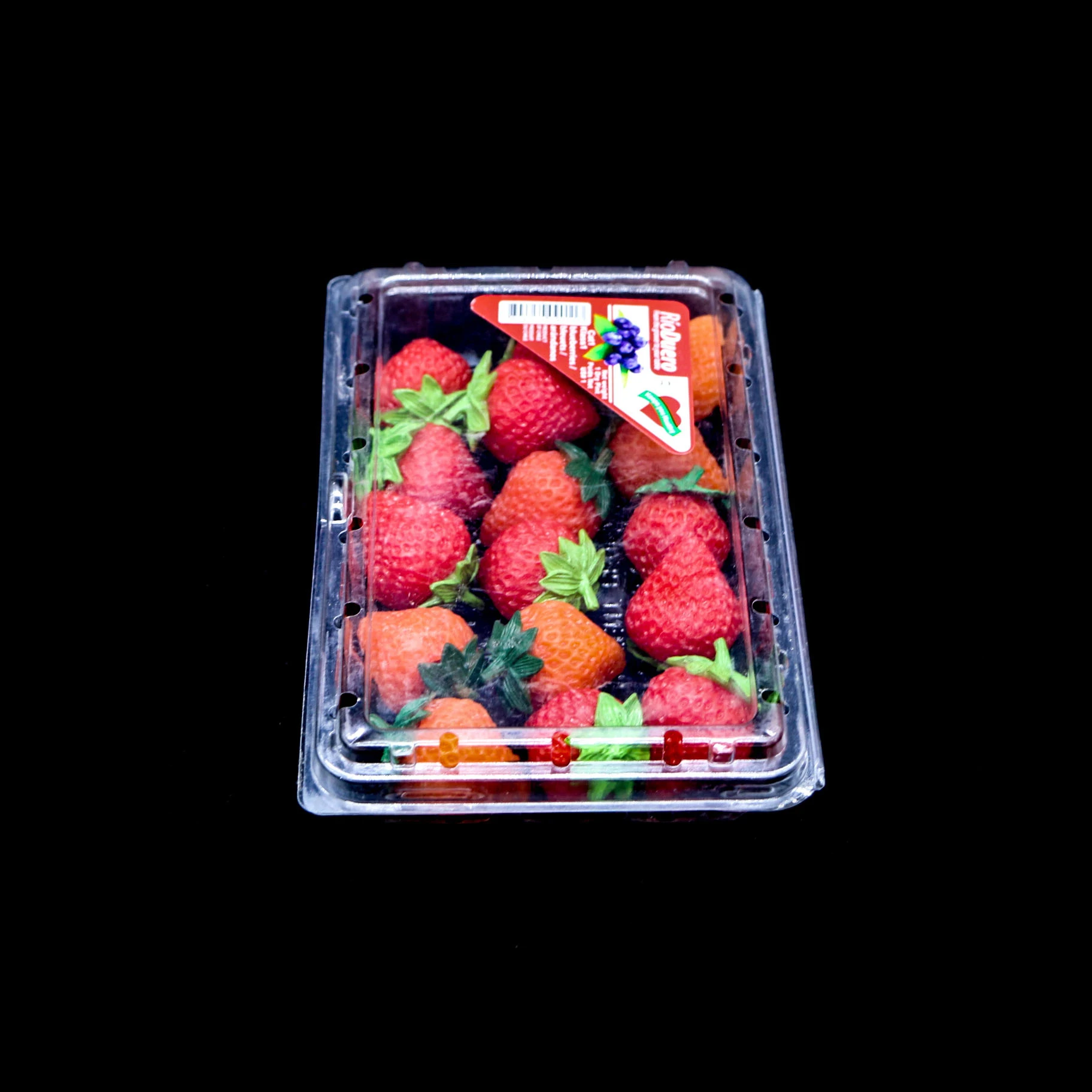 Shandong Factory  Hot Selling Transparent Blister Container Disposable Plastic Berry Fruit Packaging Box Strawberry Pack Trays