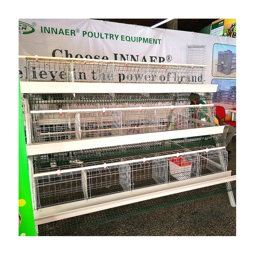 Лидер продаж, пластыри для слоев для куриных ферм из Уганды