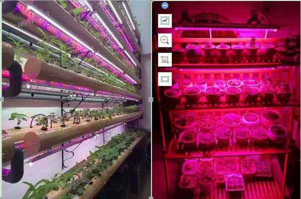 Лучшая цена, алюминиевый корпус, подвесная гидропонная светодиодная промышленная лампа