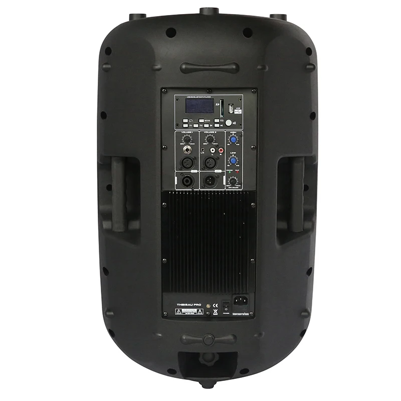 Class D Amplifier Module Active PA Speaker Sound System Wireless Speaker