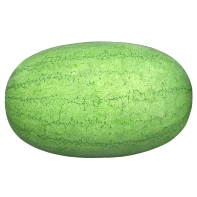 
XINHONGFU Hybrid Watermelon Seeds for Growing 