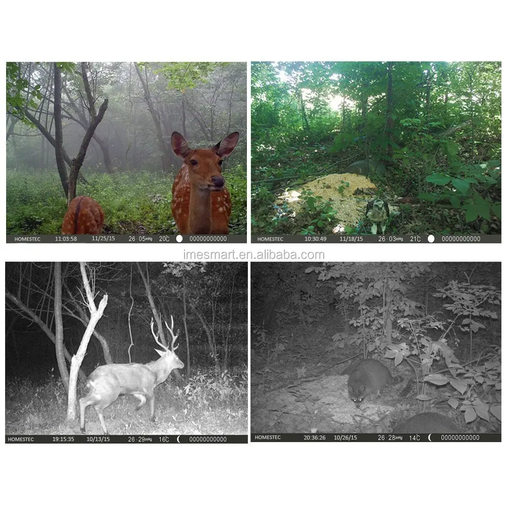 Full HD Night Vision Hunting Camera 8MP 720P Photo Traps Scouting Infrared Game Hunter Trail Camera NO glow Trail Cameras