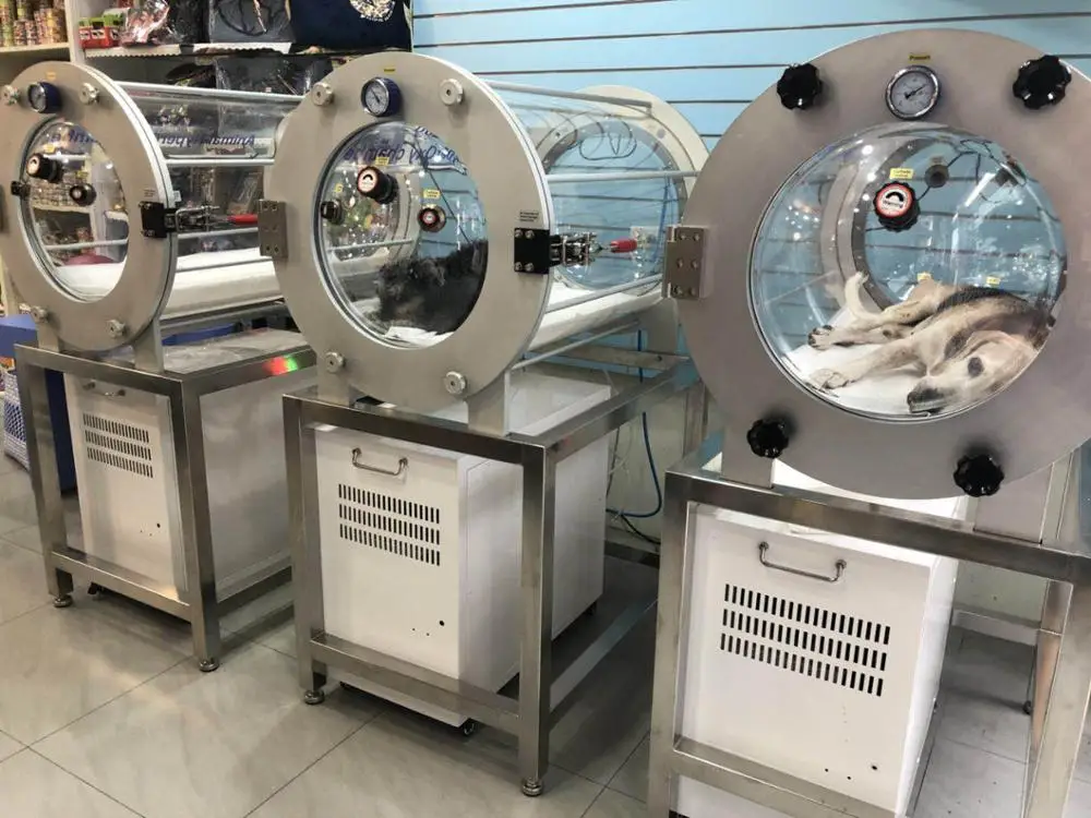 Big animals veterinary equipment 1.3ATA hyperbaric oxygen chamber