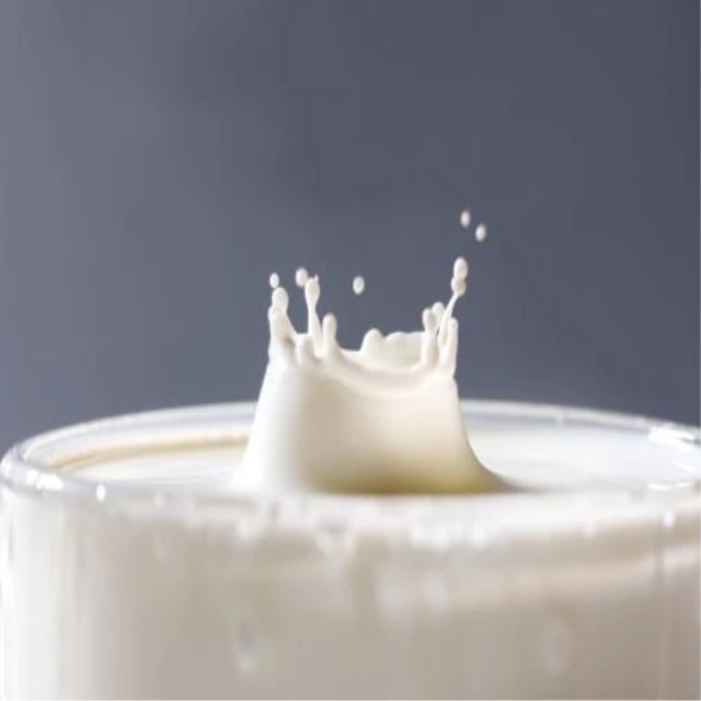 Complete Pasteurised / UHT /Yogurt Milk production line