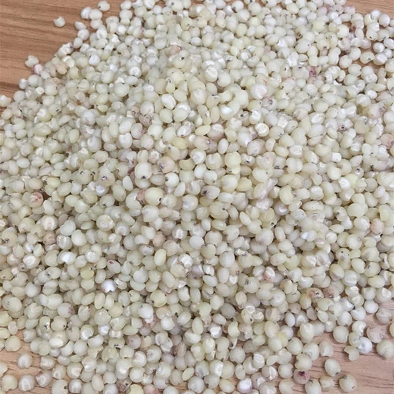 Продажа зернового сорго по заводской цене