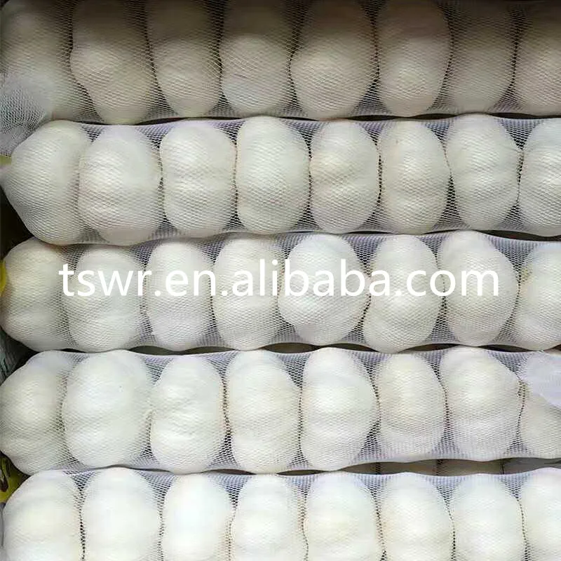 
CHINA GARLIC 2020 FRESH NORMAL WHITE GARLIC WHOLESALE 