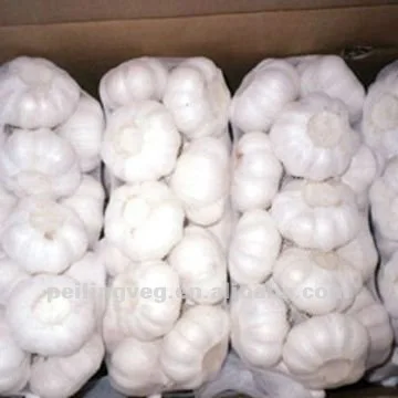 Свежий чеснок, новинка 2018