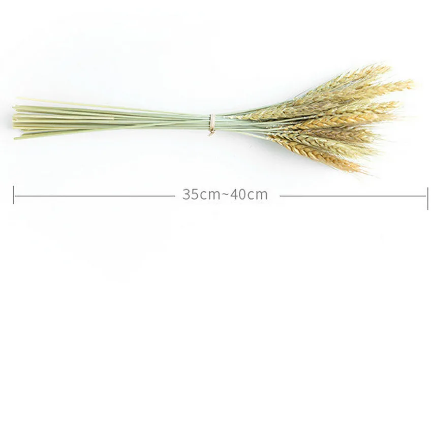 Plants Decoration Artificial Dires Flower Pure Natural Ear Of Wheat