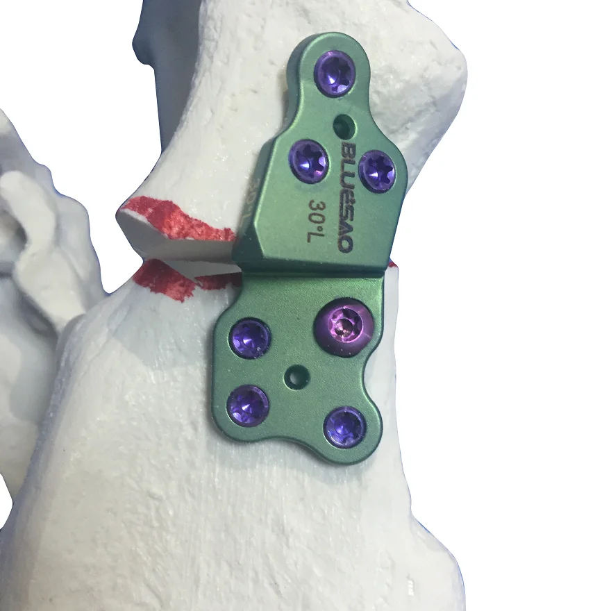 BlueSAO DPO plate 30 degree left&right titanium for veterinary surgery use small animal orthopedic instruments