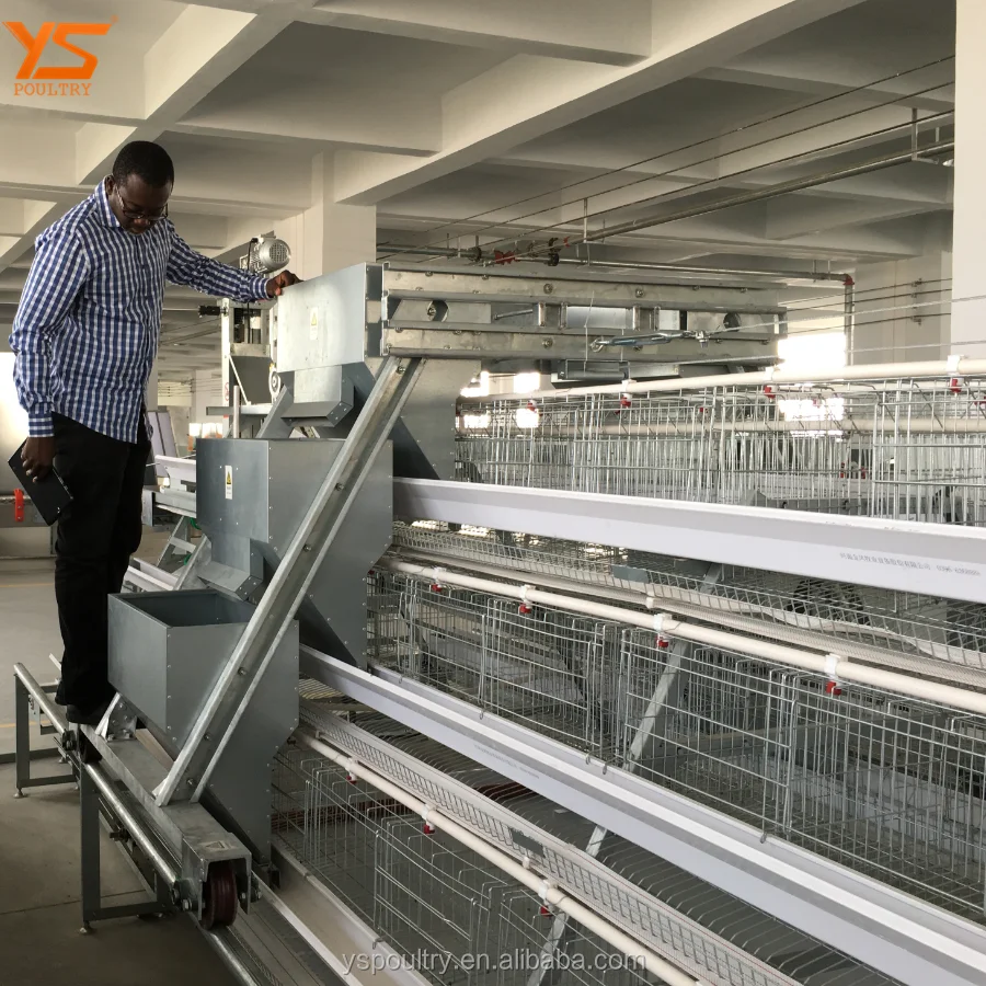 Elevated Chicken House /Two Floors Poultry House Design