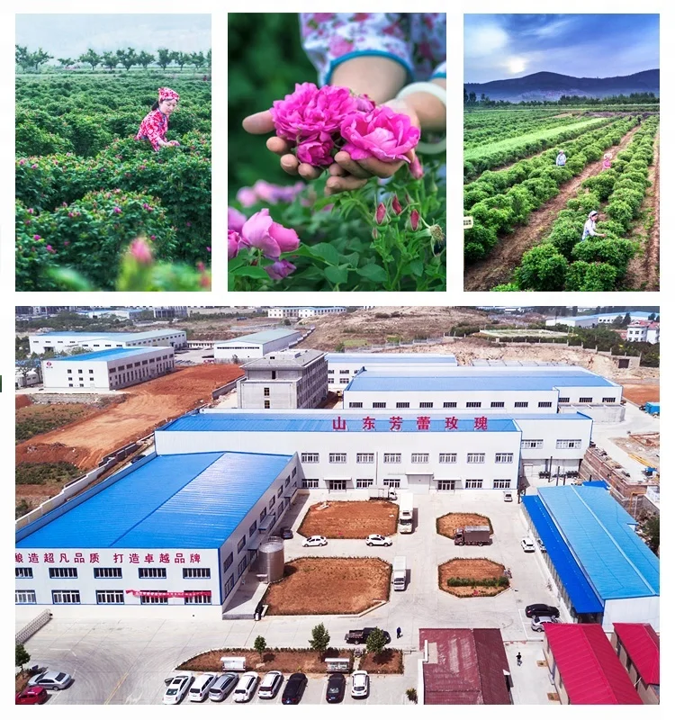 
Detox Fruit and Vegetable Enzyme Drink Fermented Rose Fruit Juice Enzymes 