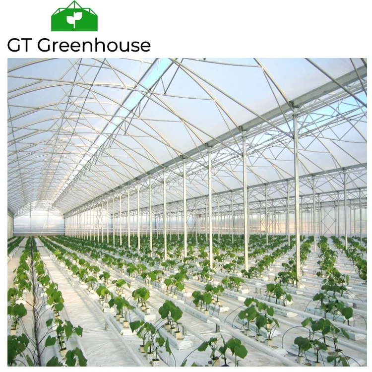 Agricultural Tropical Open Roof Greenhouses