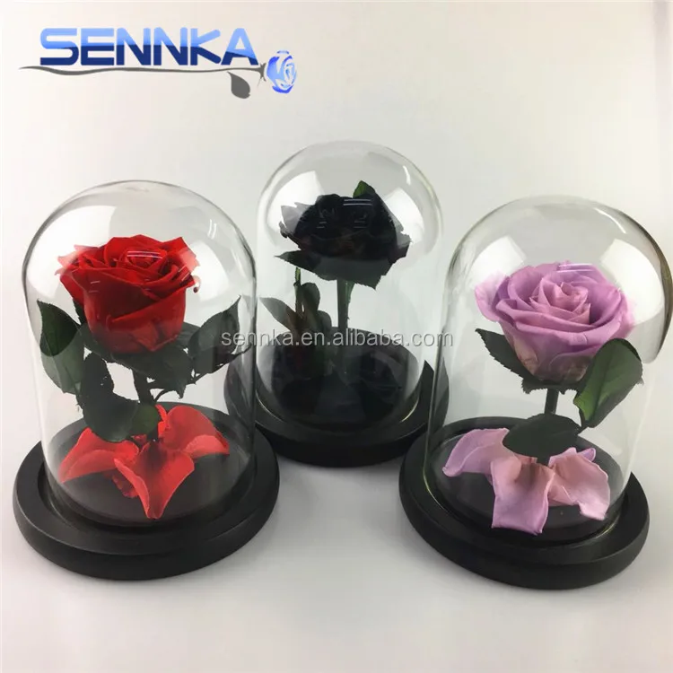 Yunnan Wholesale Preserved Rose in Glass Dome for Home Decoration