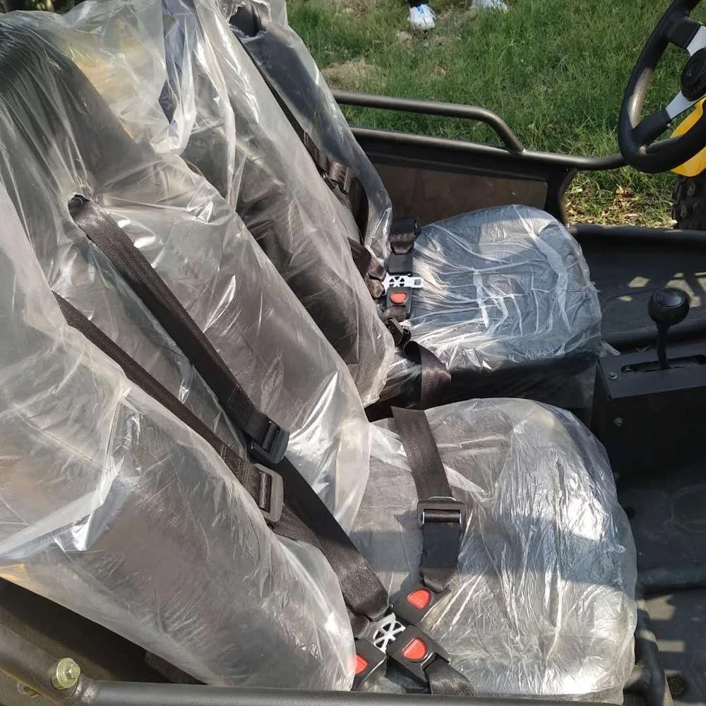 2019 powerful 2 seater 250cc 4x2 off road buggy