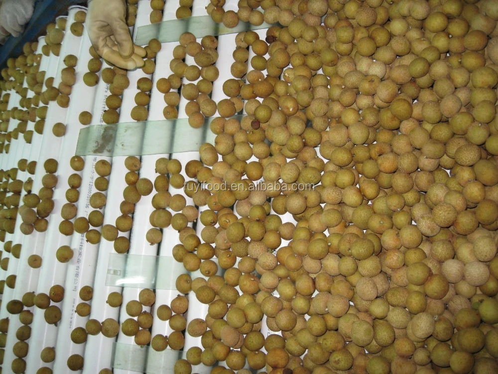 100% natural and sweet fresh longan in bulk /plastic package